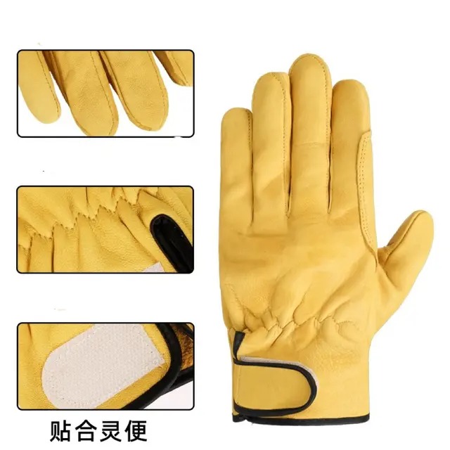 Rubber Glove