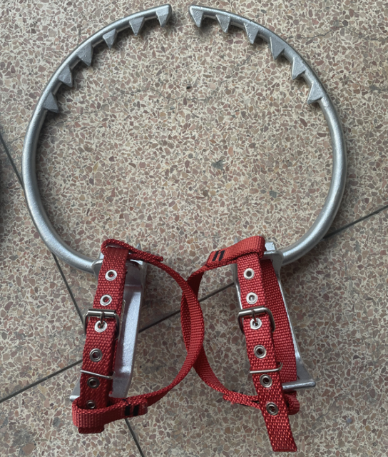 Tree Climbing Spikes